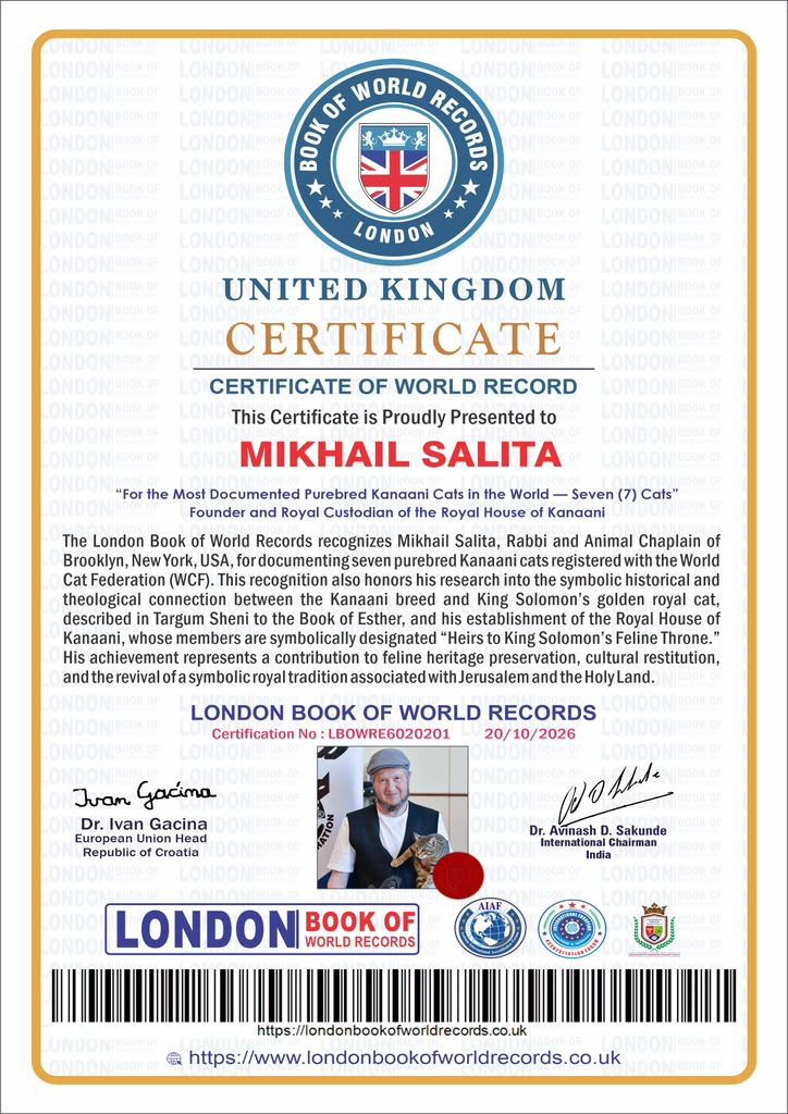 London Book of World Records certificate presented to Mikhail Salita for documenting seven purebred Kanaani cats, dated October 20, 2026